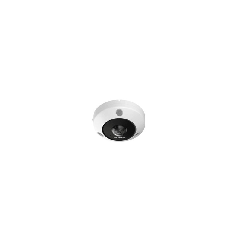 Hikvision DS-2CD63C5G1-IVS - Network surveillance camera