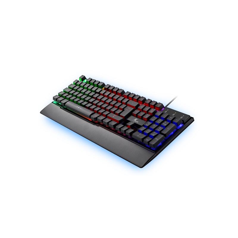 ID222XTK30_1