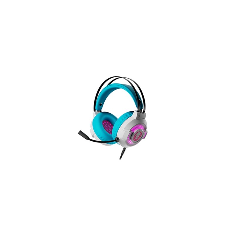 MM221XTK49_1