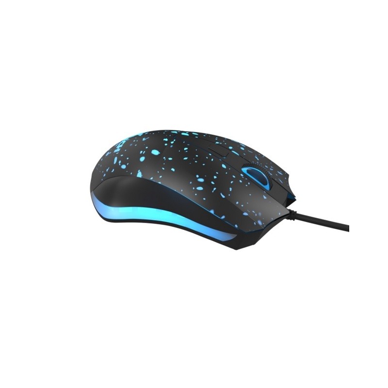 ID011XTK24_2