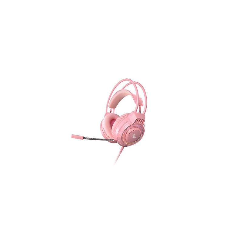MM221XTK48_1