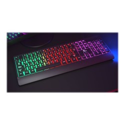 ID223XTK03_9