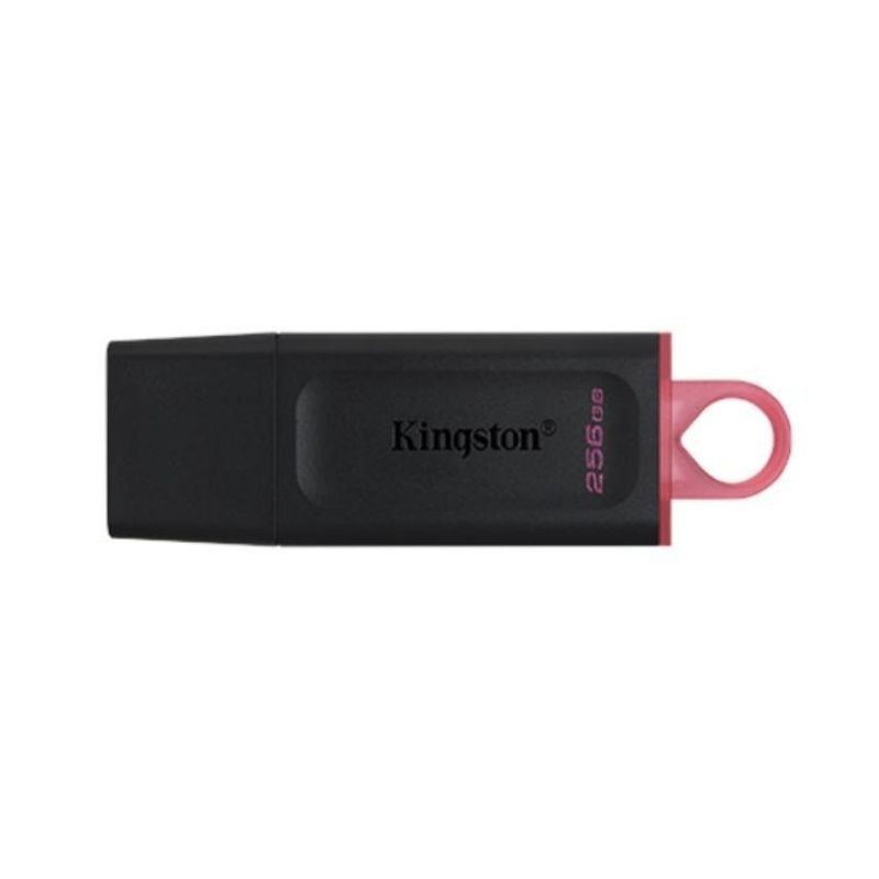 Kingston DataTraveler Exodia - Unidad flash USB - 256 GB - USB 3.2 Gen 1 - negro/rosa