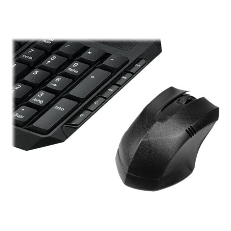 ID225XTK20_9