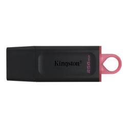 Kingston DataTraveler Exodia M - Unidad flash USB - 256 GB - USB 3.2 Gen 1